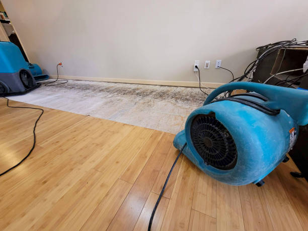 Professional Water Damage Repair technician working in New London, OH