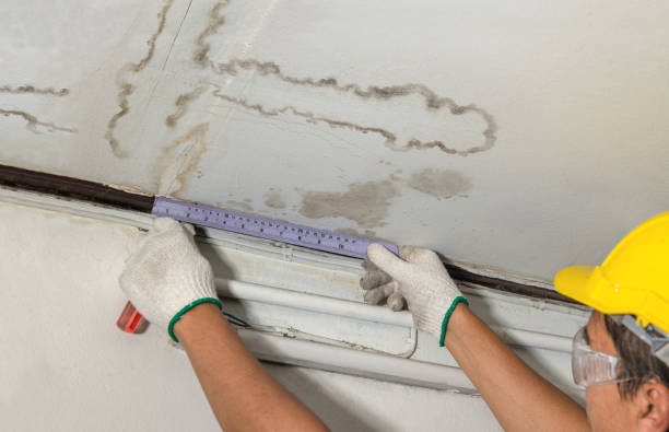 Affordable Water Damage Repair solutions in New London, OH